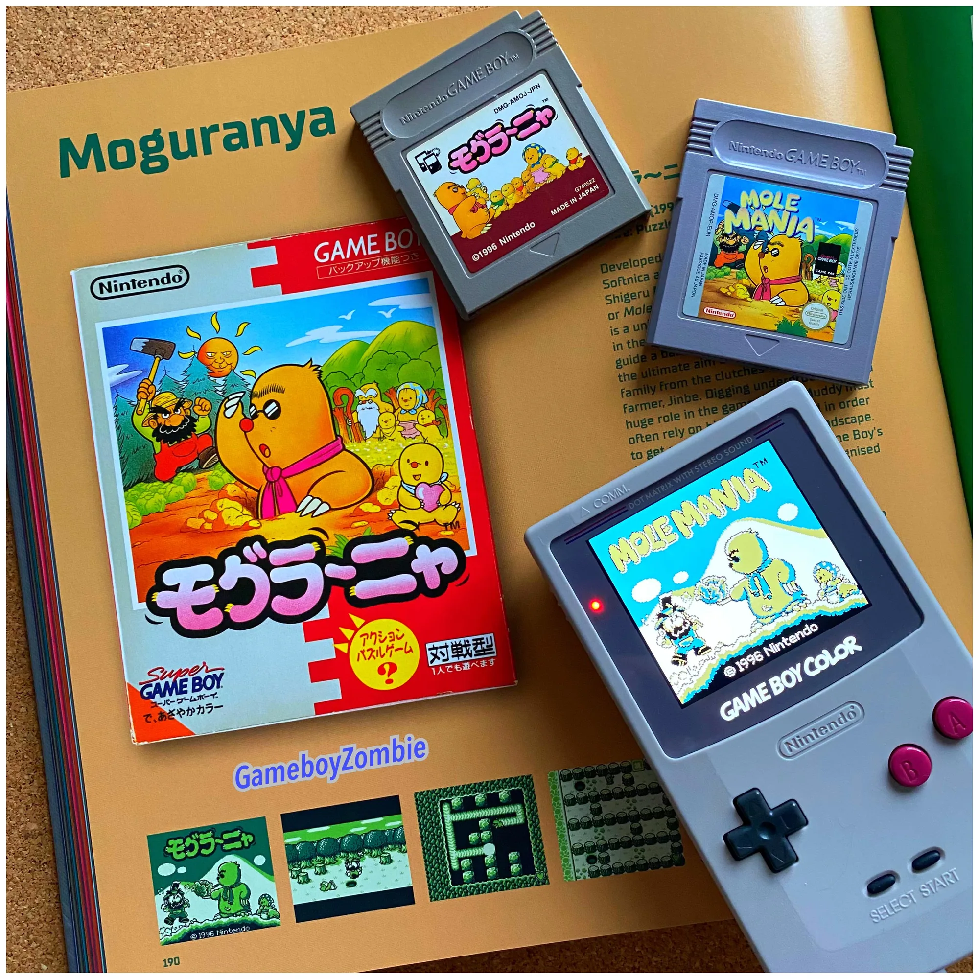 A collector's arrangement photographed on a wooden surface: the Japanese Mogurānya box art in the top-left corner with its orange overworld illustration, the Japanese cartridge with a pale yellow label above it, the North American grey cartridge with Muddy Mole pictured on its label, and a Game Boy Color to the right running the Mole Mania DX title screen in colour.